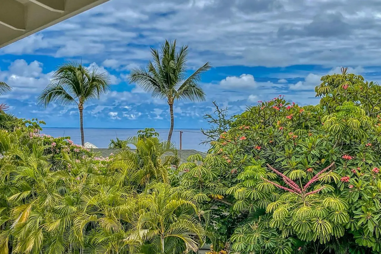 Holiday home Kona Kanewa Home Kailua-Kona